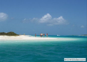 Caribbean Sand and Sea