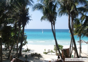Palms and Beach, Cuba
