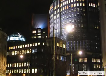 Hague by Night