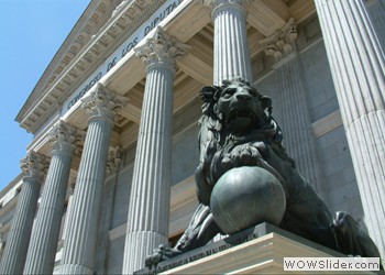 The Spain Congress Lions