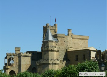 Royal Palace of Olite, Navarra